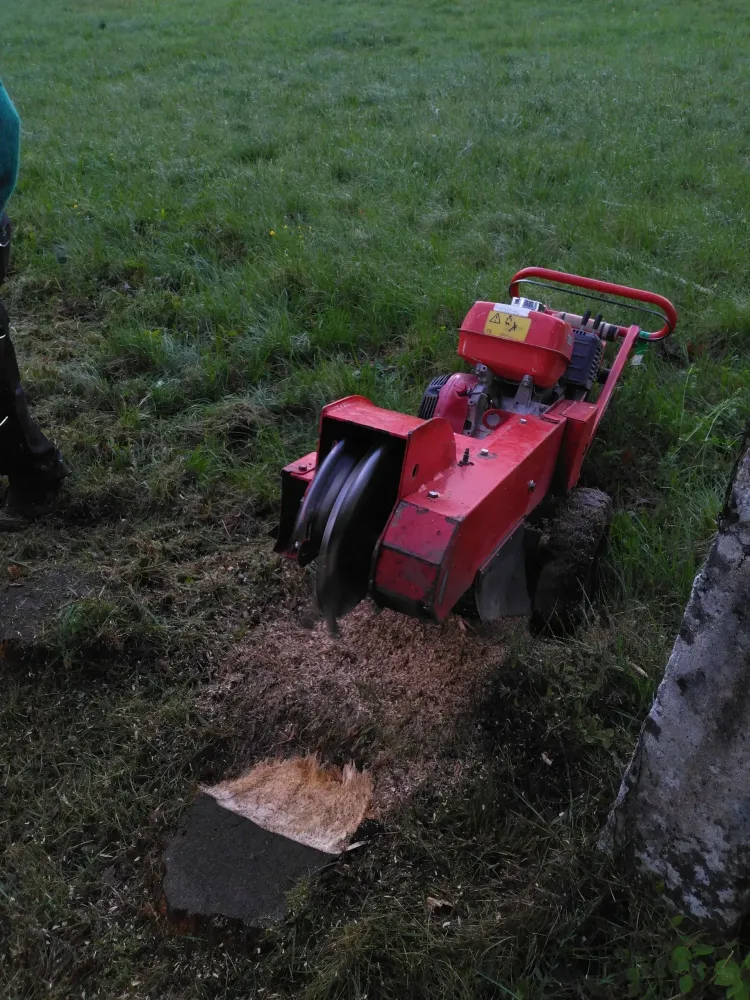 travaux agricoles