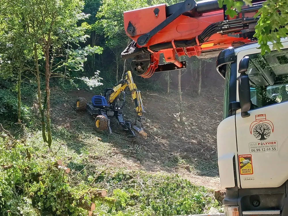 travaux-forestiers-5