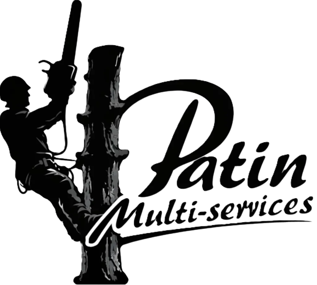 logo elageur